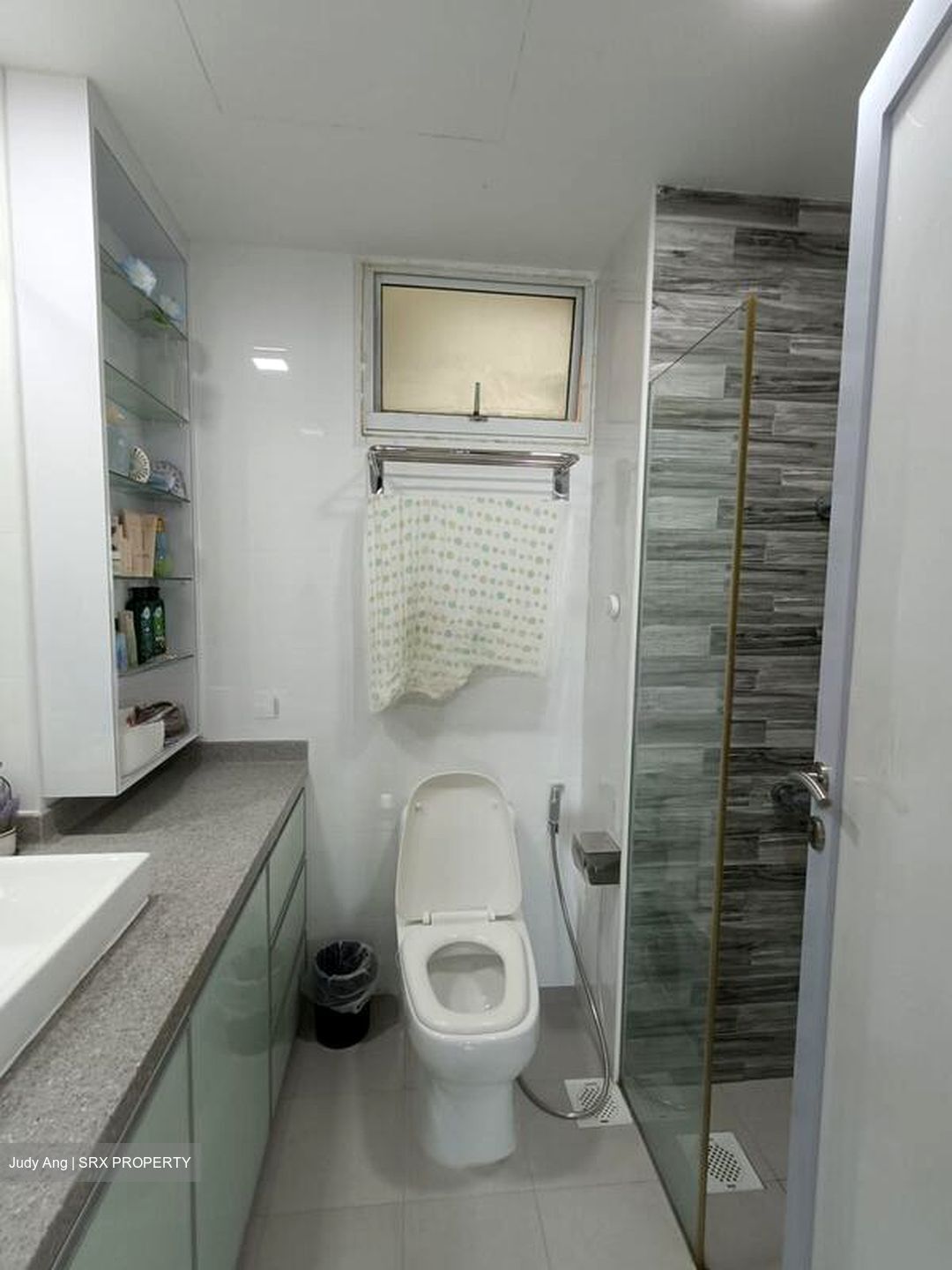 Parkshore (D15), Condominium #512811451